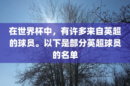 在世界杯中，有许多来自英超的球员。以下是部分英超球员的名单