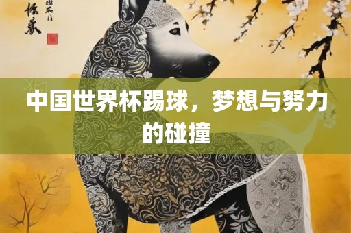 中国世界杯踢球，梦想与努力的碰撞