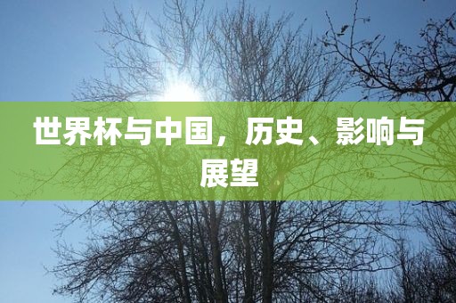 世界杯与中国，历史、影响与展望