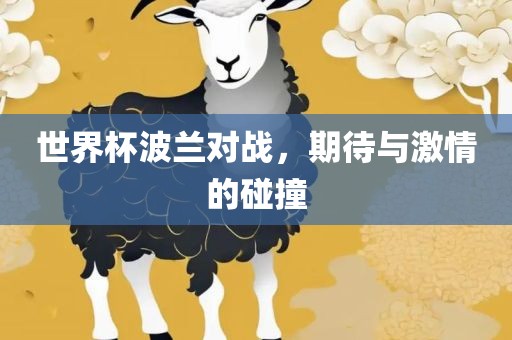 世界杯波兰对战，期待与激情的碰撞