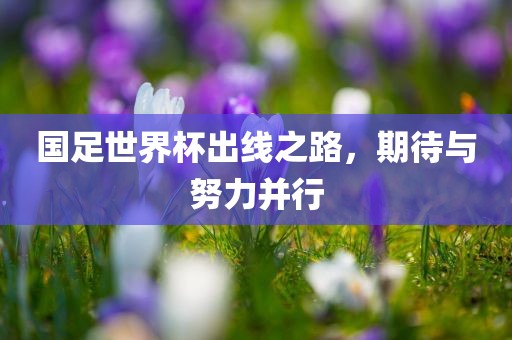 国足世界杯出线之路，期待与努力并行