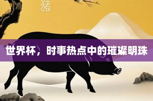 世界杯，时事热点中的璀璨明珠