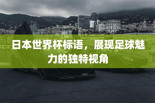 日本世界杯标语，展现足球魅力的独特视角