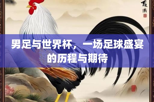 男足与世界杯，一场足球盛宴的历程与期待