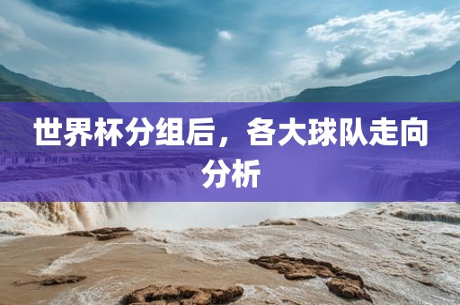 世界杯分组后，各大球队走向分析