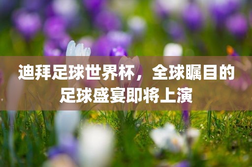 迪拜足球世界杯眉山市正发家政服务有限公司，全球瞩目的足球盛宴即将上演