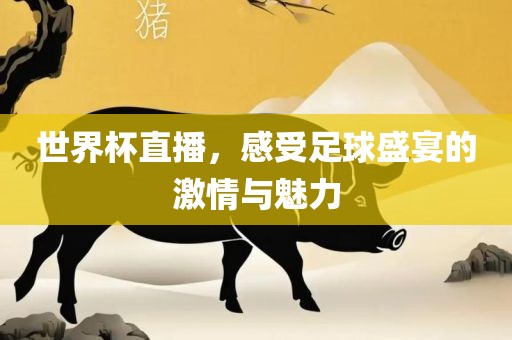 世界杯直播，感受足球盛宴的激情与魅力眉山市正发家政服务有限公司