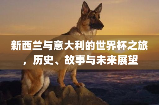 新西兰与意大利的世界杯之旅，历史、故事与未来展望