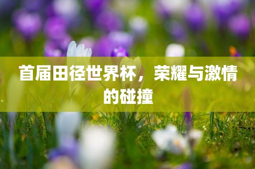 首届田径世界杯，荣耀与激情的碰撞