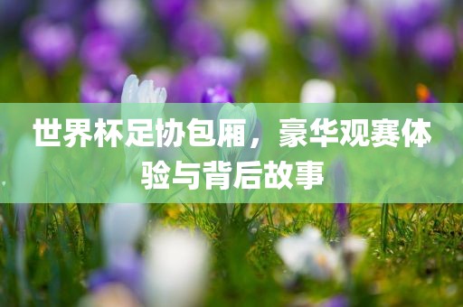 世界杯足协包厢，豪华观赛体验与背后故事