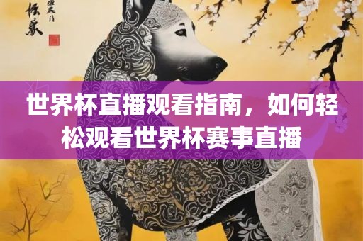 世界杯直播观看指南，如何轻松观看世界杯赛事直播