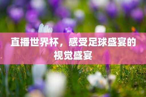 直播世界杯，感受足球盛宴的视觉盛宴眉山市正发家政服务有限公司