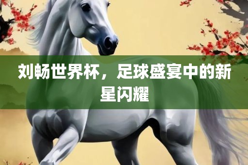 刘畅世界杯，足球盛宴中的新星闪耀