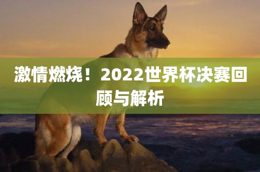 激情燃烧！2022世界杯决赛回顾与解析眉山市正发家政服务有限公司