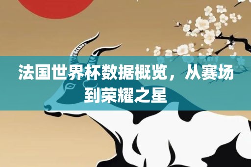 法国世界杯数据概览，从赛场到荣耀之星