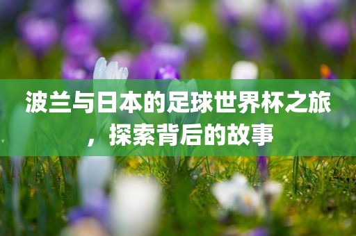 波兰与日本的足球世界杯之旅，探索背后的故事