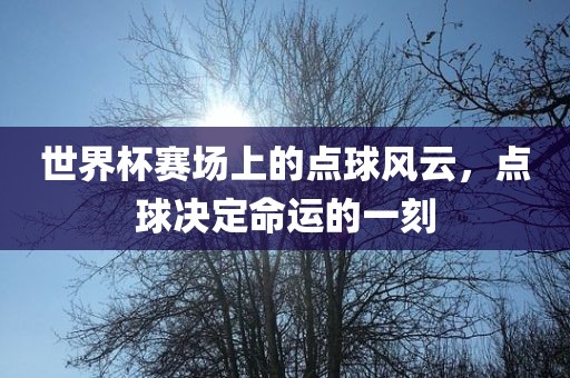 世界杯赛场上的点球风云，点球决定命运的一刻