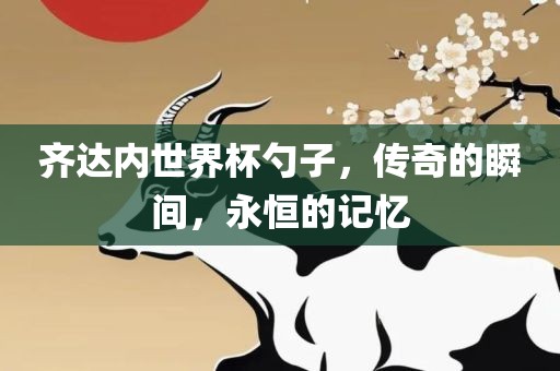 齐达内世界杯勺子，传奇的瞬间，永恒的记忆