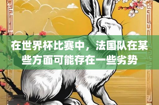 在世界杯比赛中，法国队在某些方面可能存在一些劣势