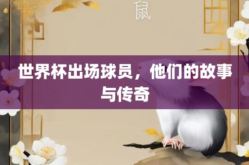 世界杯出场球员，他们的故事与传奇