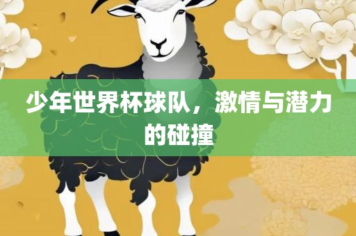 少年世界杯球队，激情与潜力的碰撞