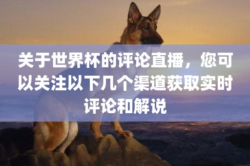 关于世界杯的评论直播，您可以关注以下几个渠道获取实时评论和解说
