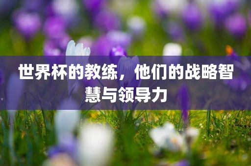 世界杯的教练，他们的战略智慧与领导力