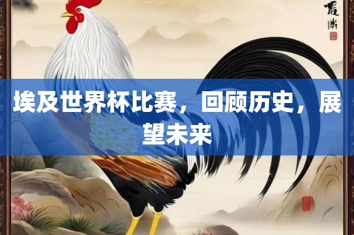 埃及世界杯比赛，回顾历史，展望未来
