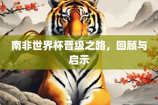 南非世界杯晋级之路，回顾与启示