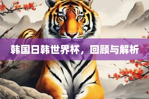 韩国日韩世界杯，回顾与解析