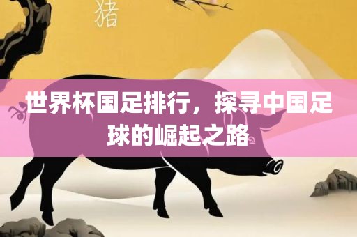 世界杯国足排行，探寻中国足球的崛起之路