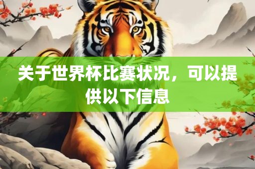 关于世界杯比赛状况，可以提供以下信息