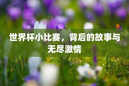 背后的故事与激情