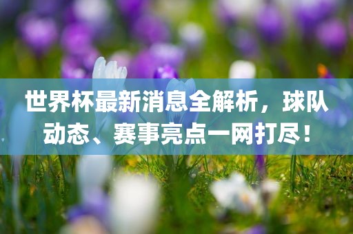 世界杯最新消息全解析，球队动态、赛事亮点一网打尽！