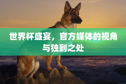 世界杯盛宴，官方媒体的视角与独到之处