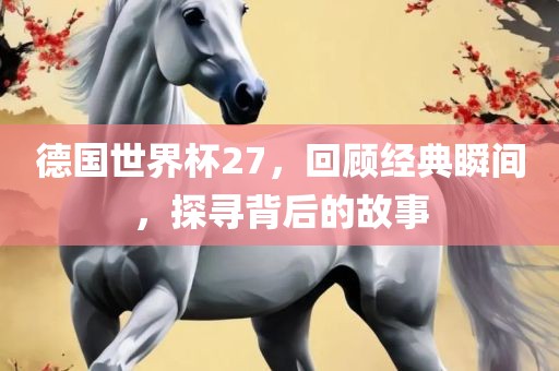 德国世界杯27，回顾经典瞬间，探寻背后的故事