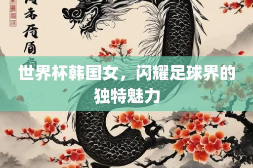 世界杯韩国女，闪耀足球界的独特魅力