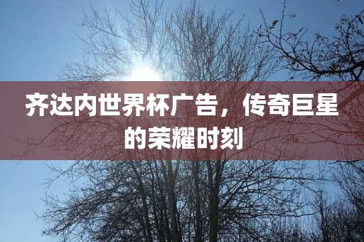 齐达内世界杯广告，传奇巨星的荣耀时刻