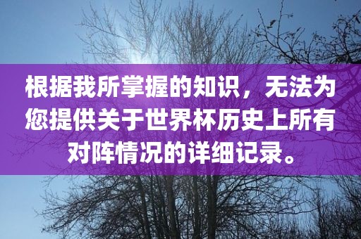 根据我所掌握的知识，无法为您提供关于世界杯历史上所有对阵情况的详细记录。