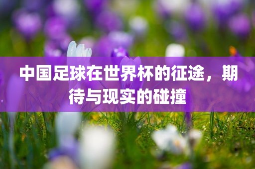 中国足球在世界杯的征途，期待与现实的碰撞