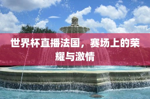 世界杯直播法国，赛场上的荣耀与激情