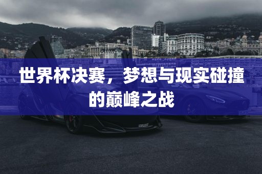 世界杯决赛，梦想与现实碰撞的巅峰之战眉山市正发家政服务有限公司