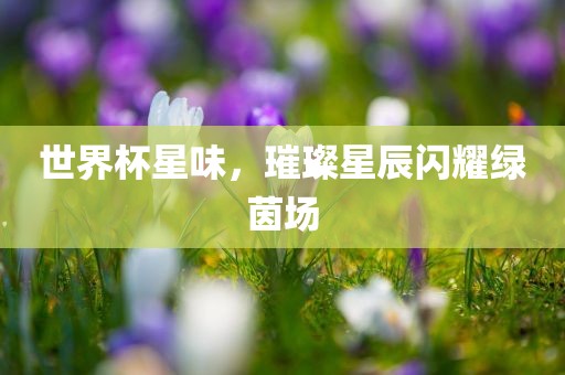 世界杯星味，璀璨星辰闪耀绿茵场