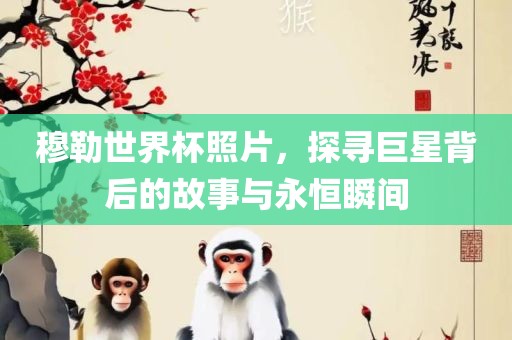 穆勒世界杯照片，探寻巨星背后的故事与永恒瞬间