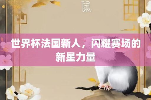 世界杯法国新人，闪耀赛场的新星力量