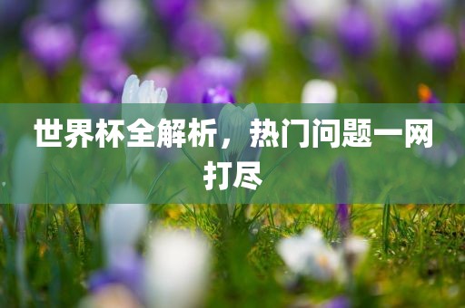 世界杯全解析，热门问题一网打尽