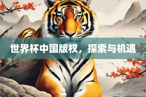 世界杯中国版权，探索与机遇