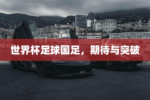 世界杯足球国足，期待与突破眉山市正发家政服务有限公司