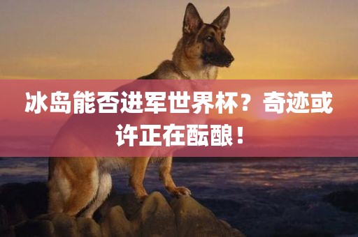 冰岛能否进军世界杯？奇迹或许正在酝酿！