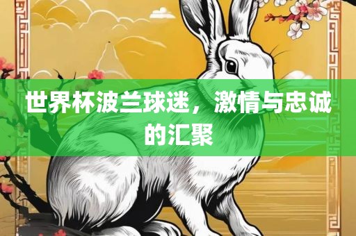 世界杯波兰球迷，激情与忠诚的汇聚